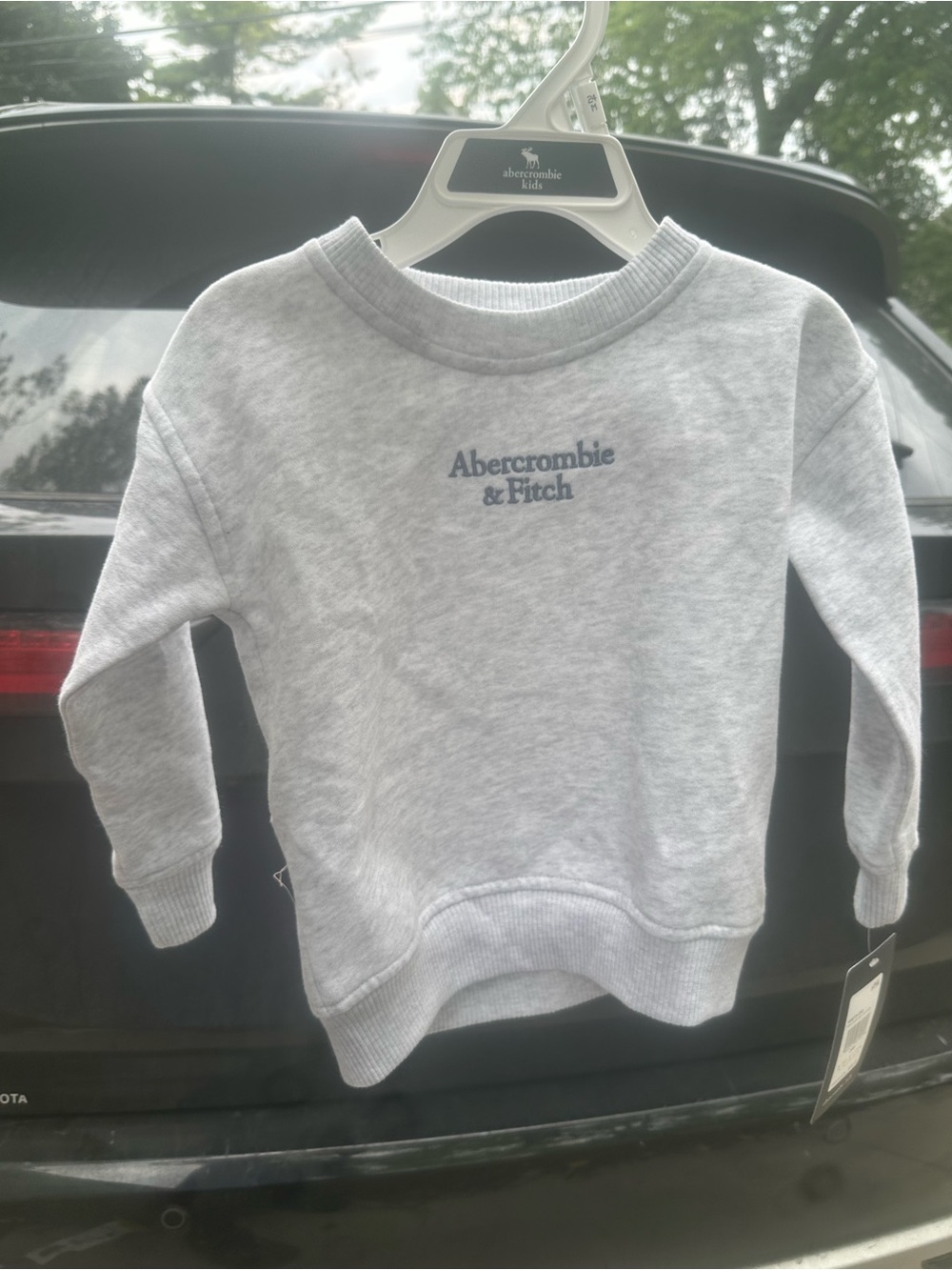 Abercrombie & Fitch Kids Light Gray Crewneck Sweatshirt